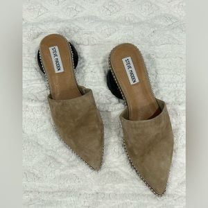 Steve Madden Azizi Pointed Toe Mule In Tan Suede | ModeSens
